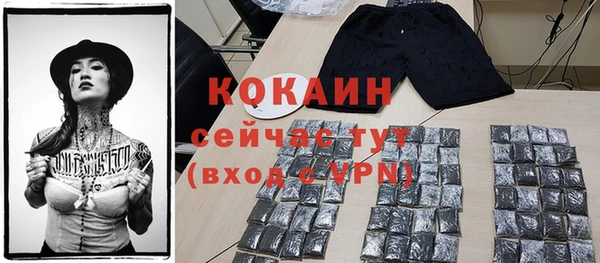 индика Балабаново