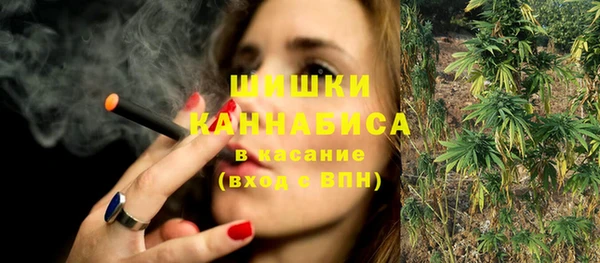 индика Балабаново