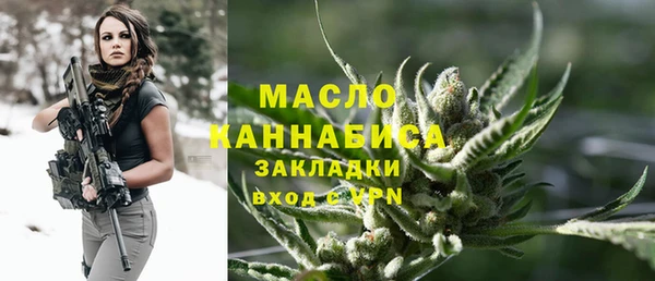 индика Балабаново